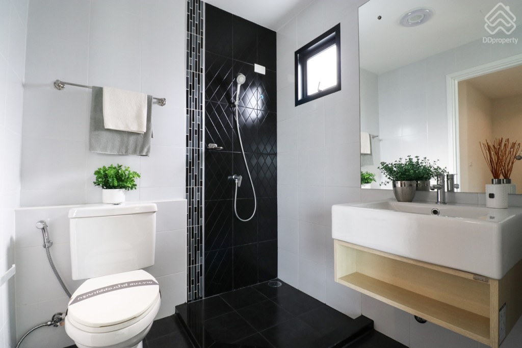 THE_PLANT_and_NATURA_TREND_PINKLAO_SAI_5_EX_HOME_28