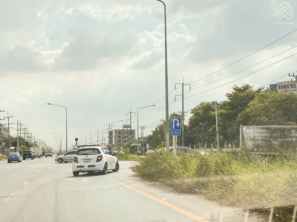 THE_PLANT_and_NATURA_TREND_PINKLAO_SAI_5_Location4