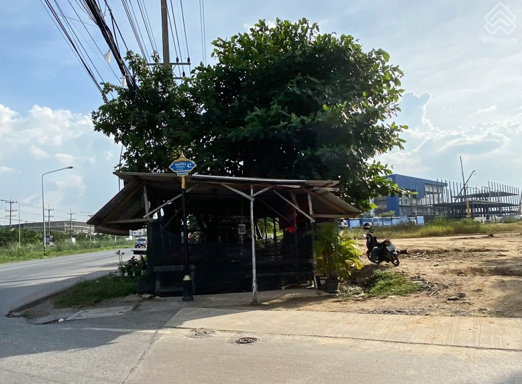 THE_PLANT_and_NATURA_TREND_PINKLAO_SAI_5_Location5