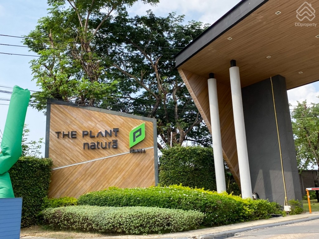 THE_PLANT_and_NATURA_TREND_PINKLAO_SAI_5_Location6