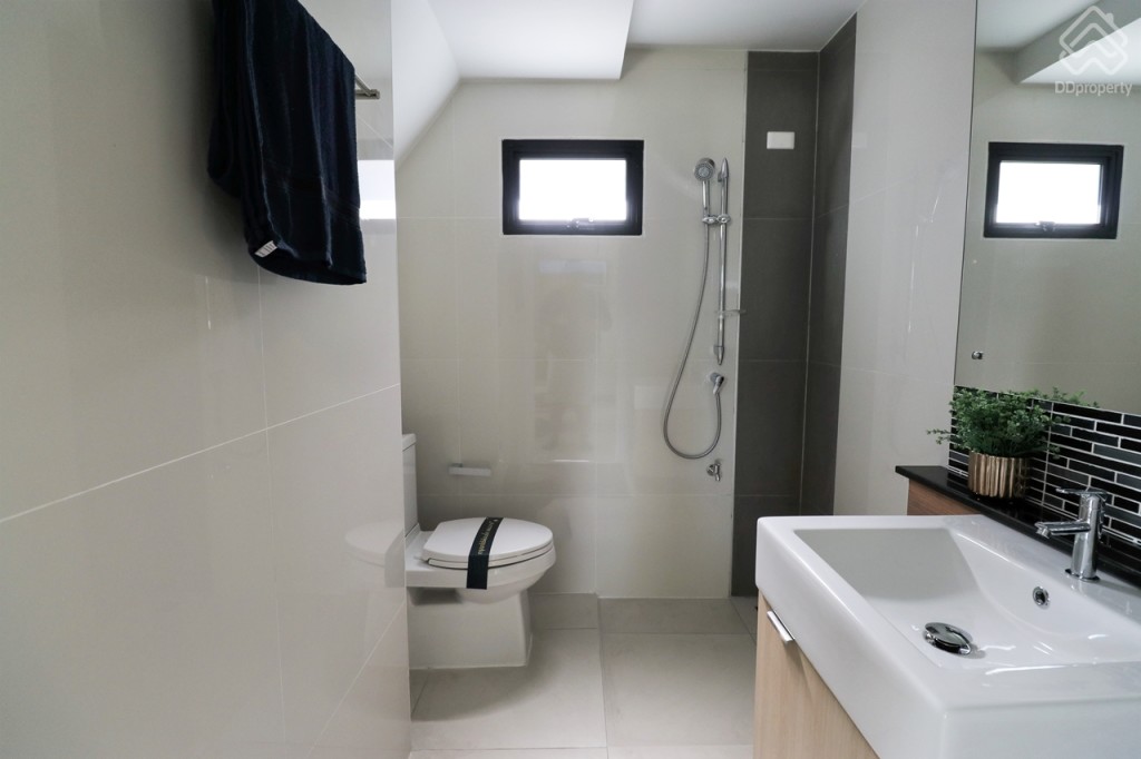 The_Plant_and_netura_trend_Wongwaen_Lumlukka_Klong_5_Ex_112