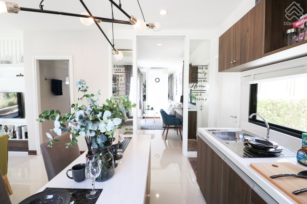 The_Plant_and_netura_trend_Wongwaen_Lumlukka_Klong_5_Ex_13