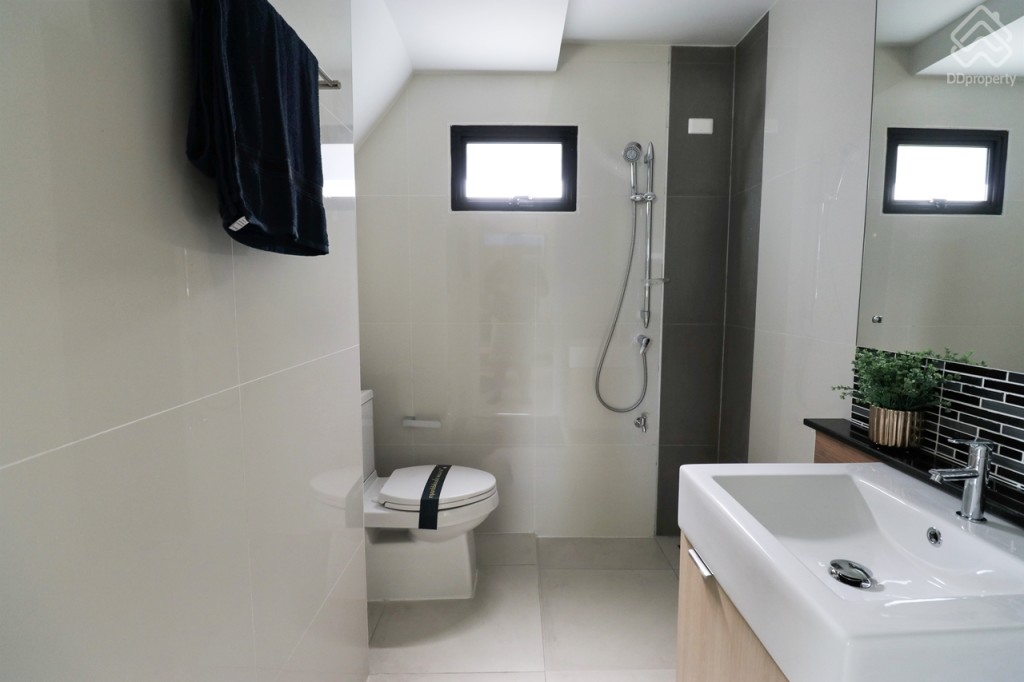 The_Plant_and_netura_trend_Wongwaen_Lumlukka_Klong_5_Ex_15