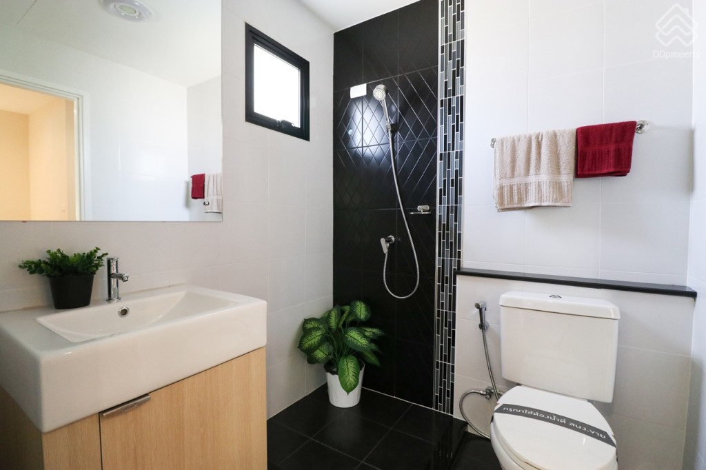 The_Plant_and_netura_trend_Wongwaen_Lumlukka_Klong_5_Ex_211