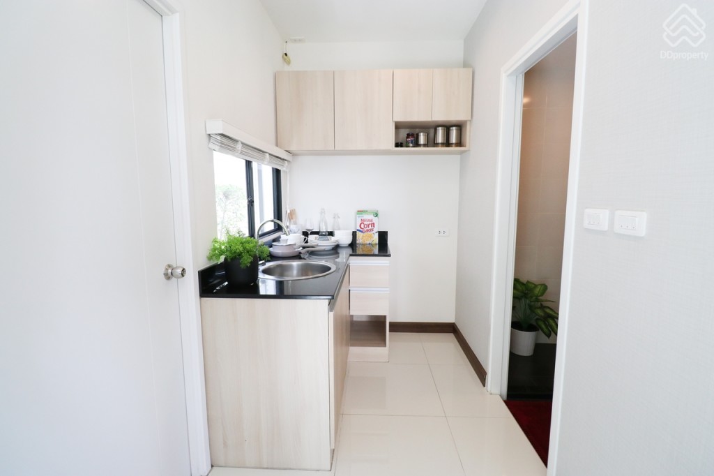 The_Plant_and_netura_trend_Wongwaen_Lumlukka_Klong_5_Ex_24