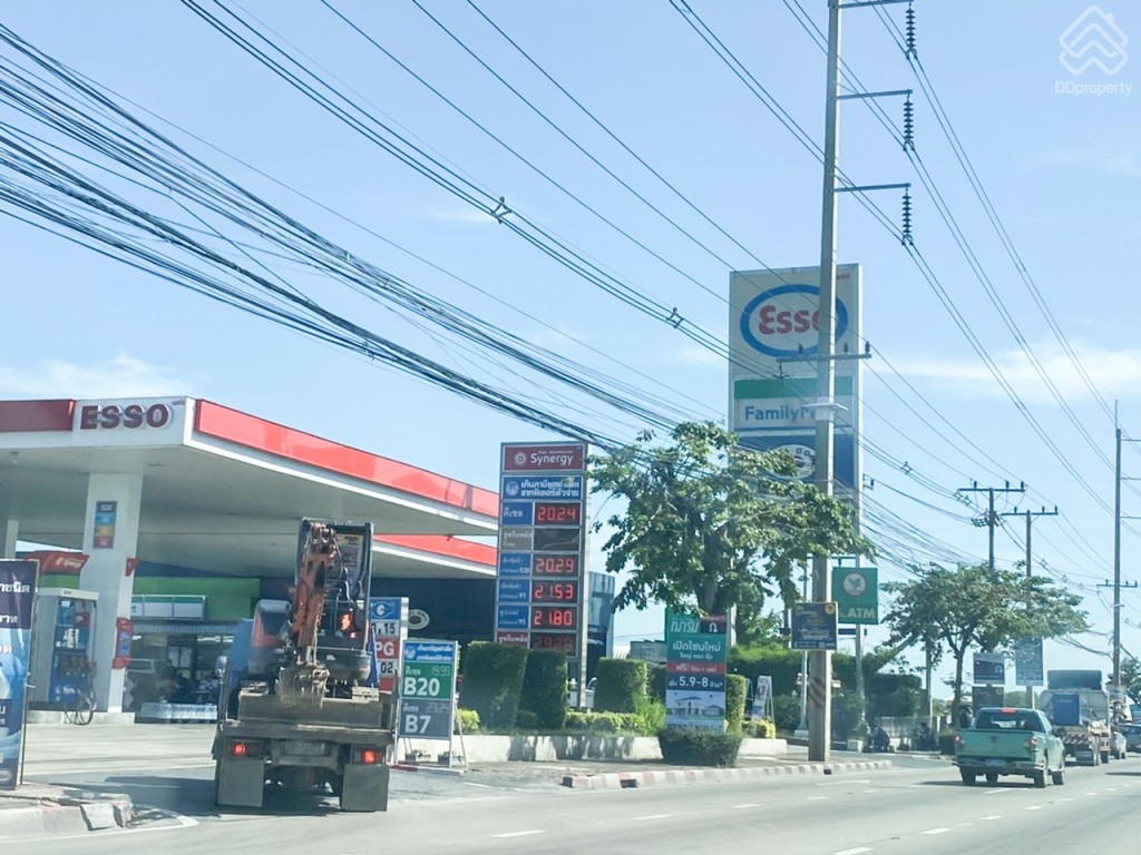 The_Plant_and_netura_trend_Wongwaen_Lumlukka_Klong_5_Location5