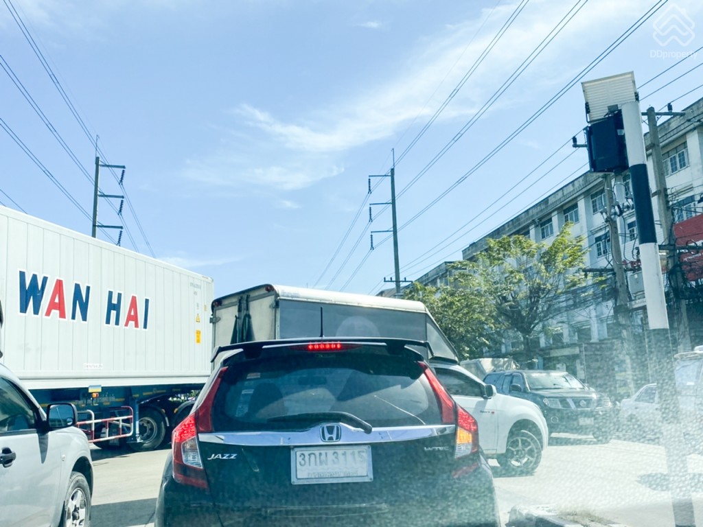 The_Plant_and_netura_trend_Wongwaen_Lumlukka_Klong_5_Location6