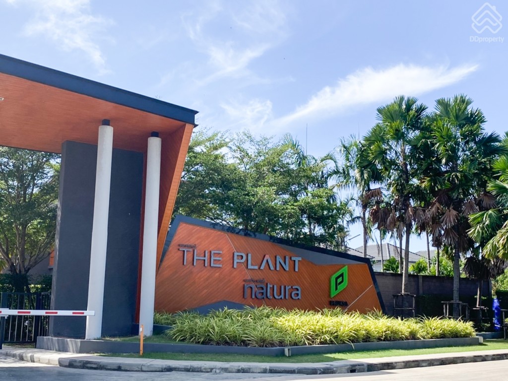 The_Plant_and_netura_trend_Wongwaen_Lumlukka_Klong_5_Location9