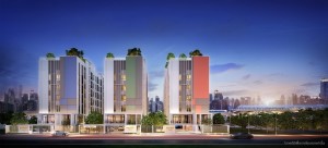  - รีวิวโครงการ : บริกซ์ตัน เพ็ทแอนด์เพลย์ สุขุมวิท 107 (Brixton Pet and Play Sukhumvit 107)