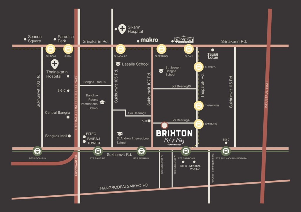 Brixton-Pet-Play-Sukhumvit-1078