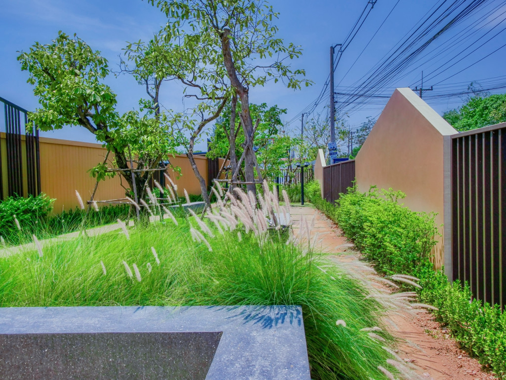 Baan-Sanrak-Pakchong-Bandaima8