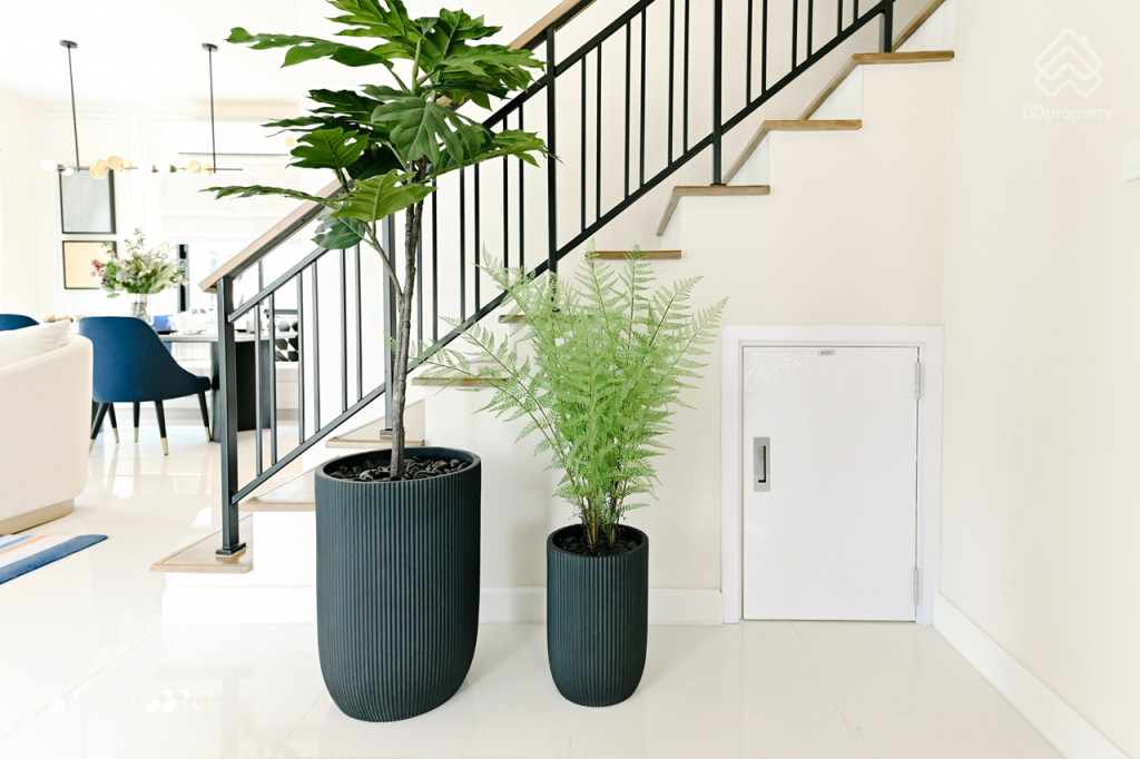 Britania-Rayong-Review_Brightling-10