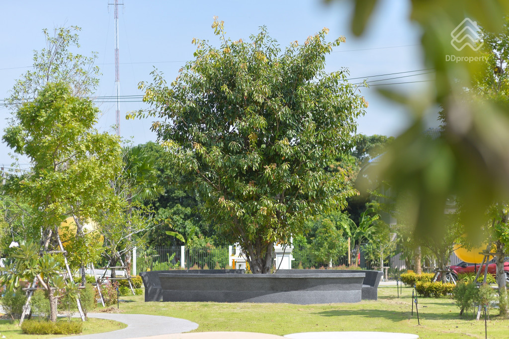 PREMIER-CITY-Sukhumvit-Pucea-Facilities_3