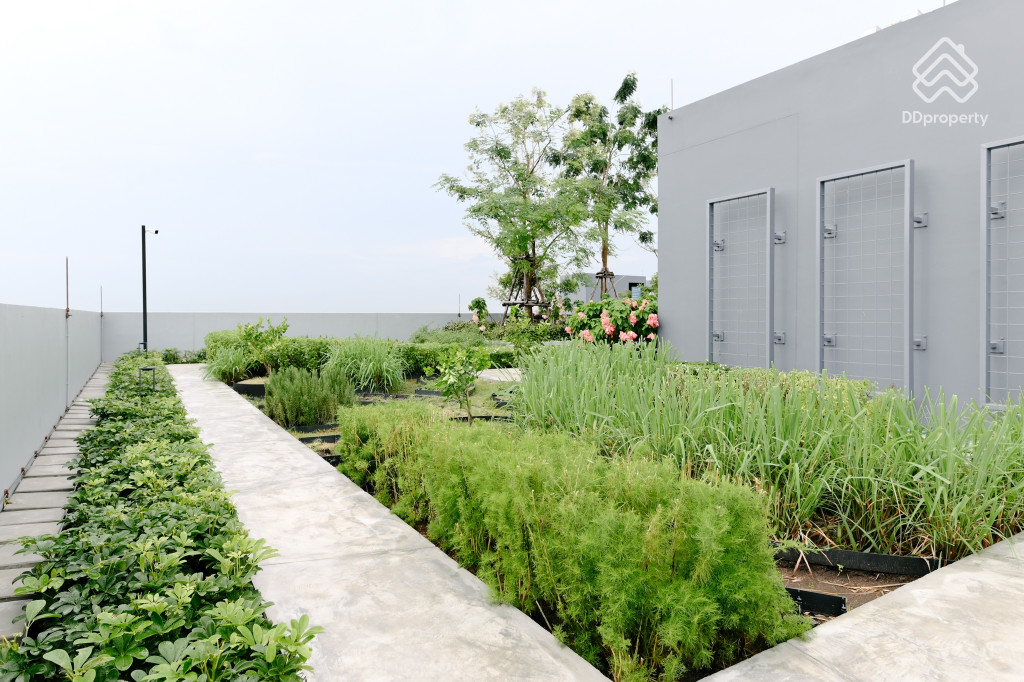 Lumpini-Ville-Charan-Fai-Chai-Facilities_18