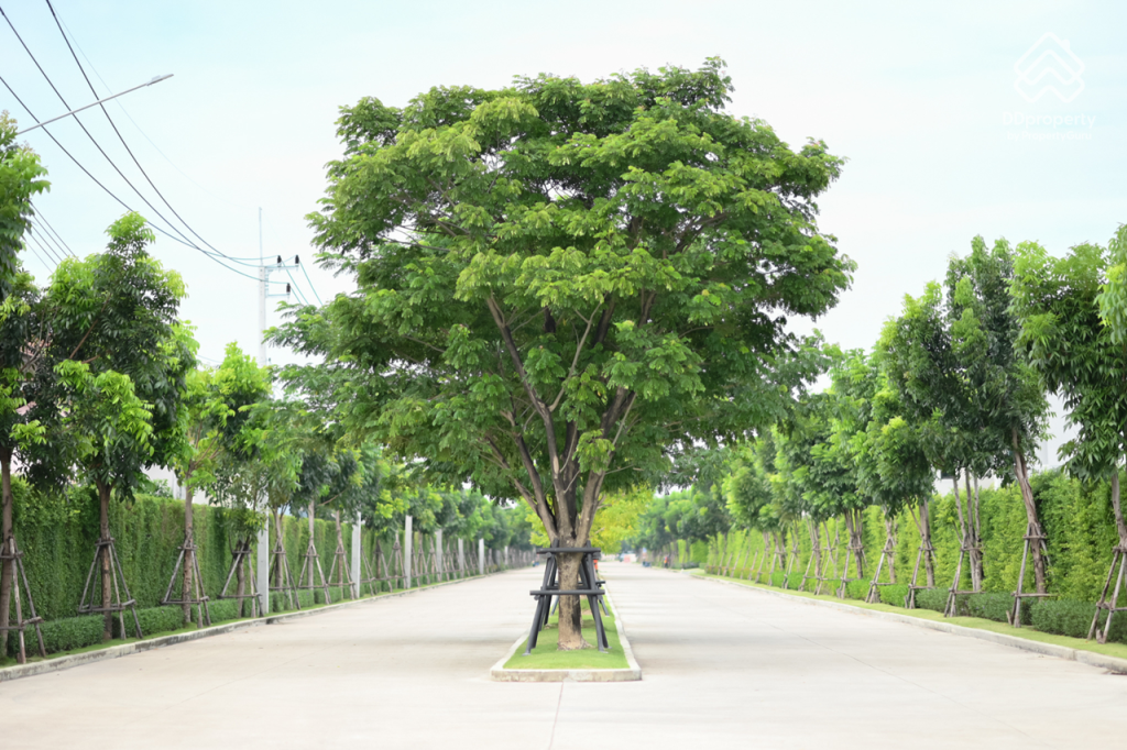 Bangkok-boulevard-Vibhavadi-Phaholyothin-2-Route-04