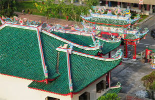 Dairy Farm / Bukit Panjang / Choa Chu Kang