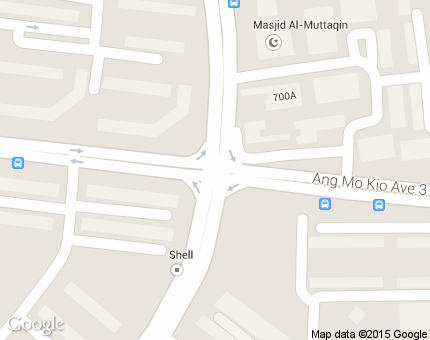 Ang Mo Kio, Bishan, Thomson (District 20)