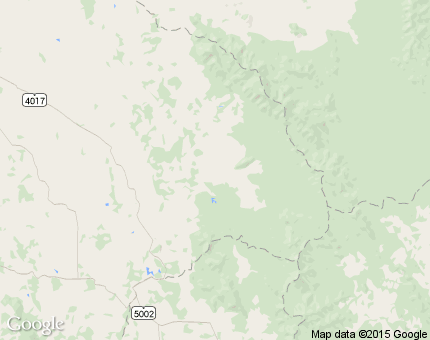 พลวงทอง