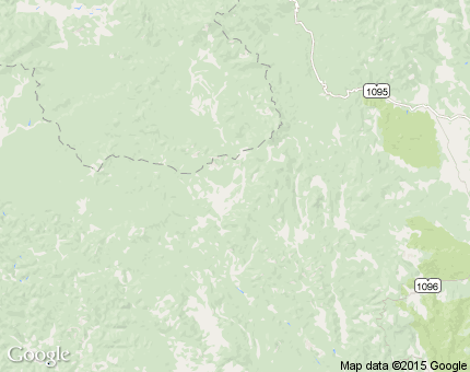 ยั้งเมิน