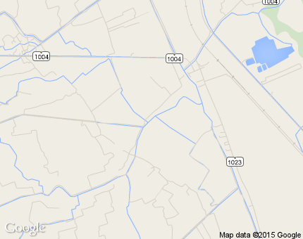 หนองปลาไหล