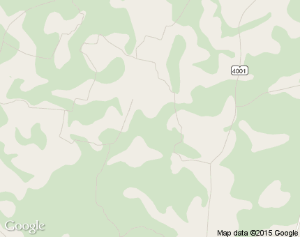 ทุ่งไทรทอง