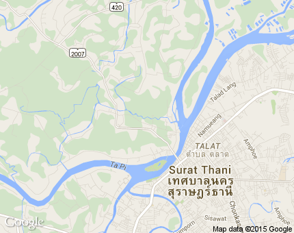บางใบไม้