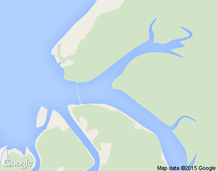 ม่วงกลวง