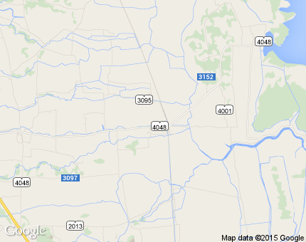 มะกอกเหนือ