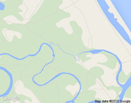 ไม้แก่น