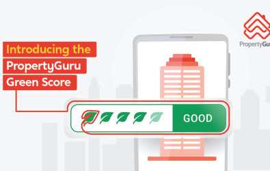 PG_Green_Score-Article_Hero_Image