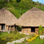 rumah adat