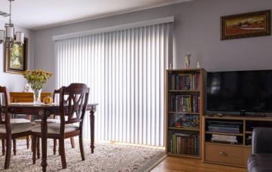 Vertical Blind 1