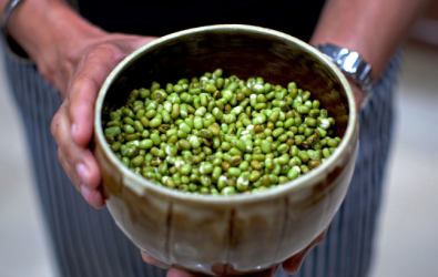 Kacang Hijau 1