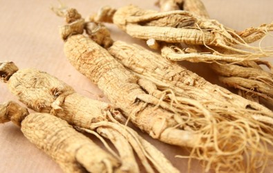 1. ginseng jawa