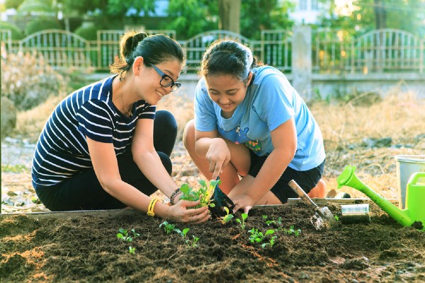 7_Herba_Malaysia_11
