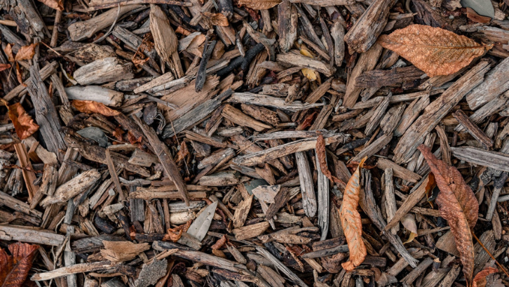 Daun-daun yang sudah membusuk merupakan bahan utama pembuatan pupuk kompos. (Foto: Pexels - Jorge Urosa)