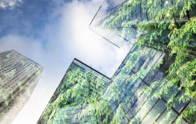 natural solutions, green design, Nature-based solutions, green architecture, Solutions for climate change
