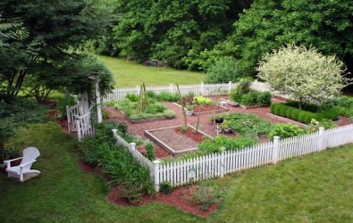 1. BERKEBUN DI RUMAH