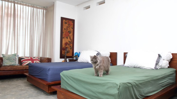 Cerita Rumah Fadil: Pandemi Pindah ke Rumah di Rancamaya Bersama Kucing Persia