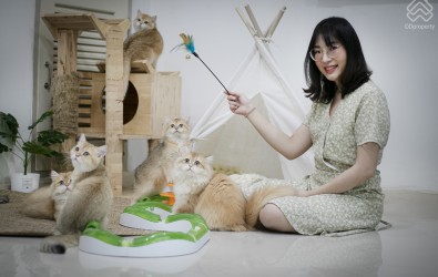 Home_Story_Cat_Lover1