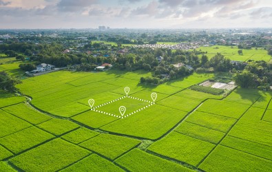 Ulasan Tanah Girik dan Cara Mengurusnya di Kantor BPN Setempat-rev