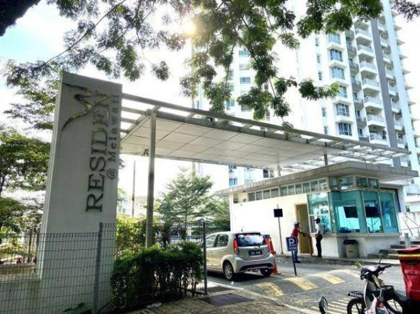 nature, Beautiful nature, nature view, Natural scenery, walks in nature, Forest reserve