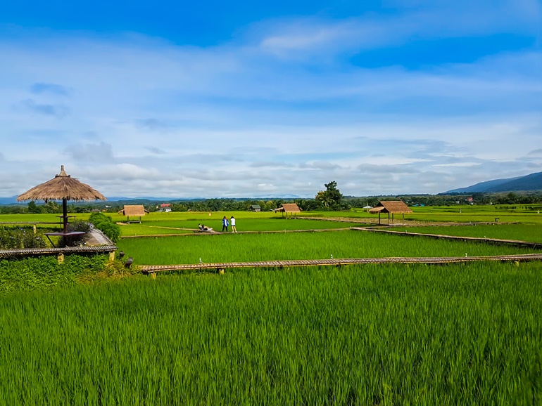 ที่ดิน ส.ป.ก. คืออะไร