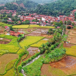1 Tanah Carik