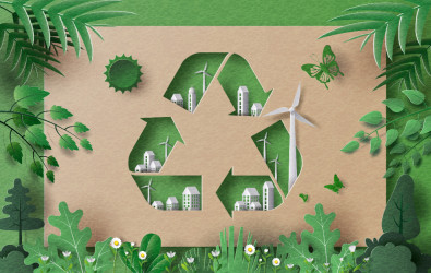 Taking the right approach to go green in developing countries