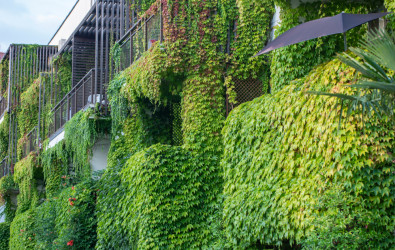 Sustainable developments don’t have to be expensive