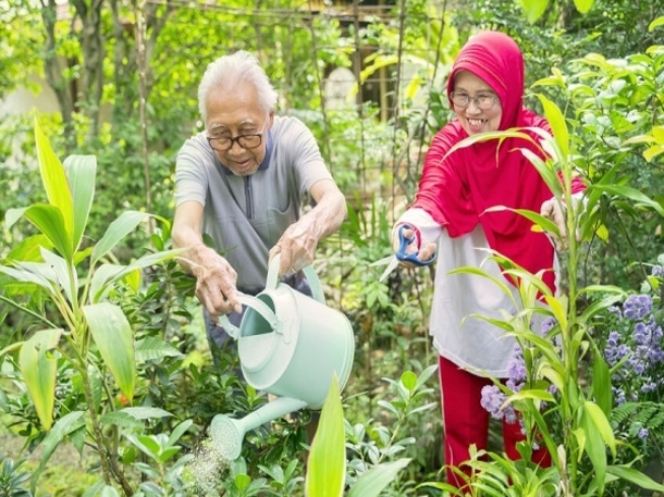 Menanam, menanam pokok, tanam pokok depan rumah