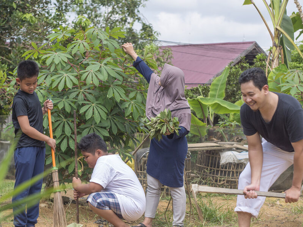Menanam, menanam pokok, tanam pokok depan rumah